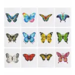 17099 Paint by numbers Diamond Painting webp