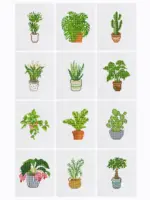 Exotic Plants - 12pcs