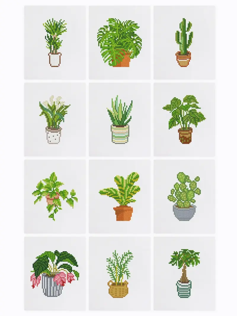 Exotic Plants - 12pcs