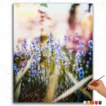 549297 Purple Flowers in Fields