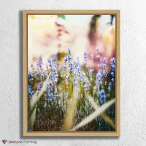 Blumenfeld bei Sonnenschein