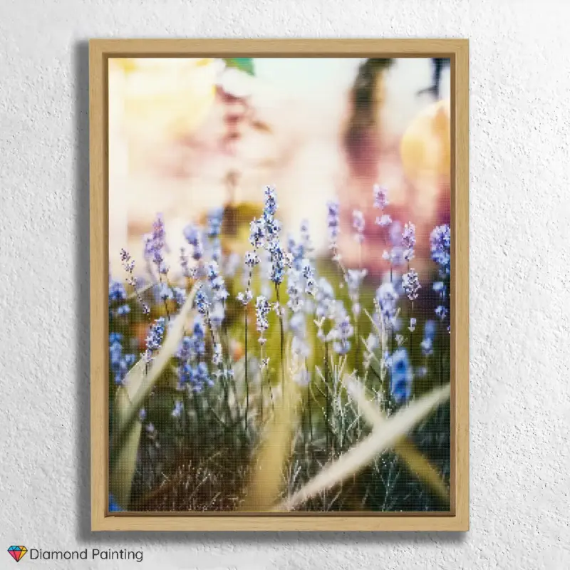 Blumenfeld bei Sonnenschein