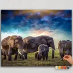 Elephants