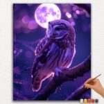 Paint-By-Numbers-DIamond-Painting-Ver-jpgg-372 Owl and Moon