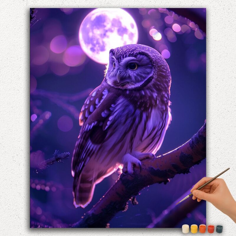 Paint-By-Numbers-DIamond-Painting-Ver-jpgg-372 Owl and Moon