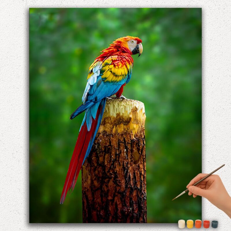 Colorful Parrot