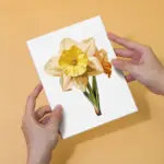 58073-Paint-by-numbers-Diamond-Painting-webp